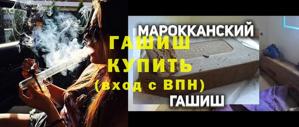 шишки Снежногорск